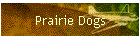 Prairie Dogs